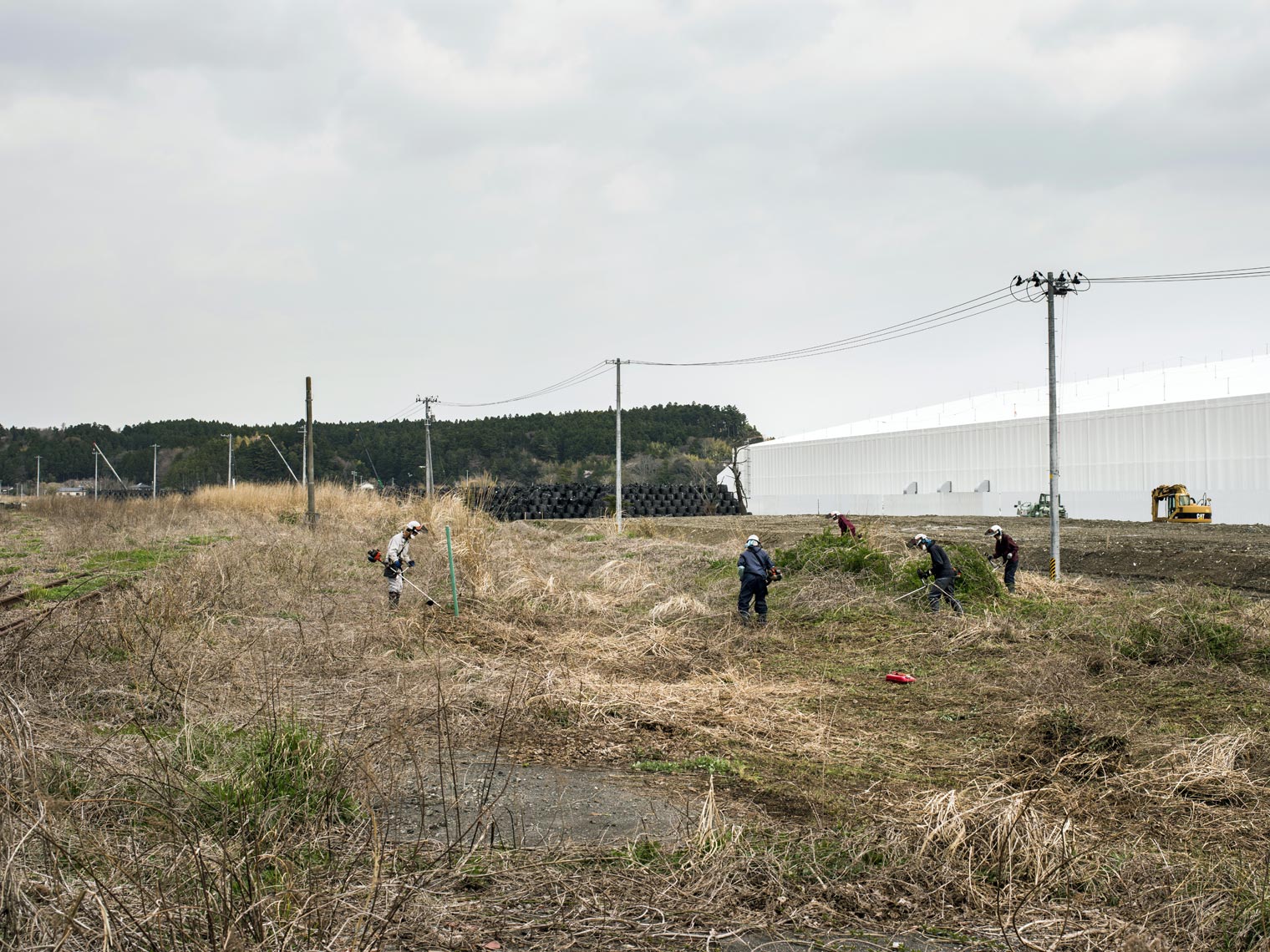 Fukushima Fallout