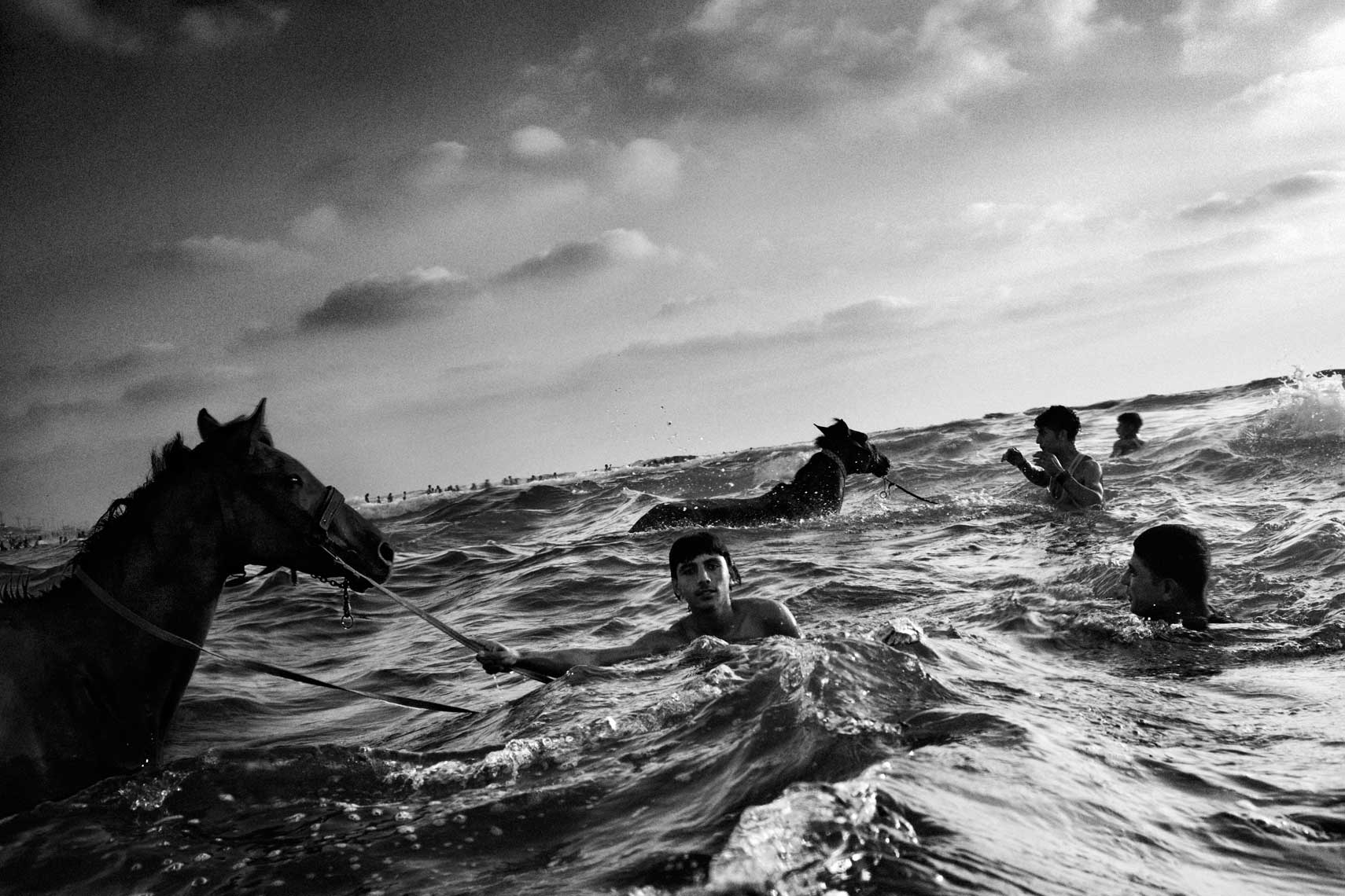 Gaza Horses and Sea
